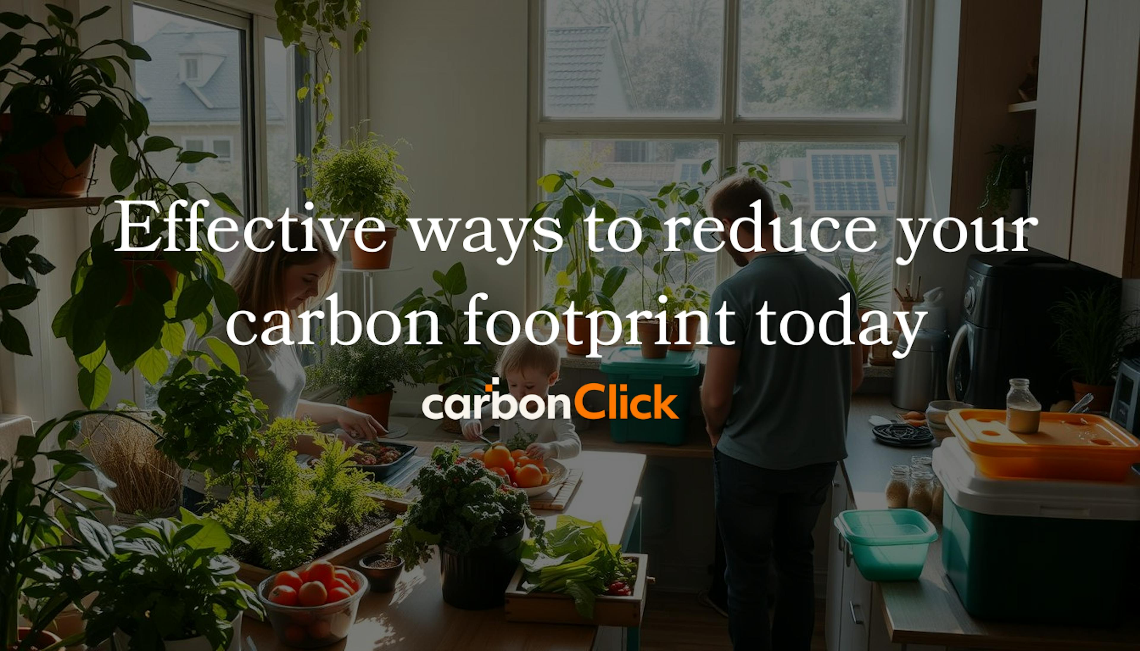 Effective ways to reduce your carbon footprint today.