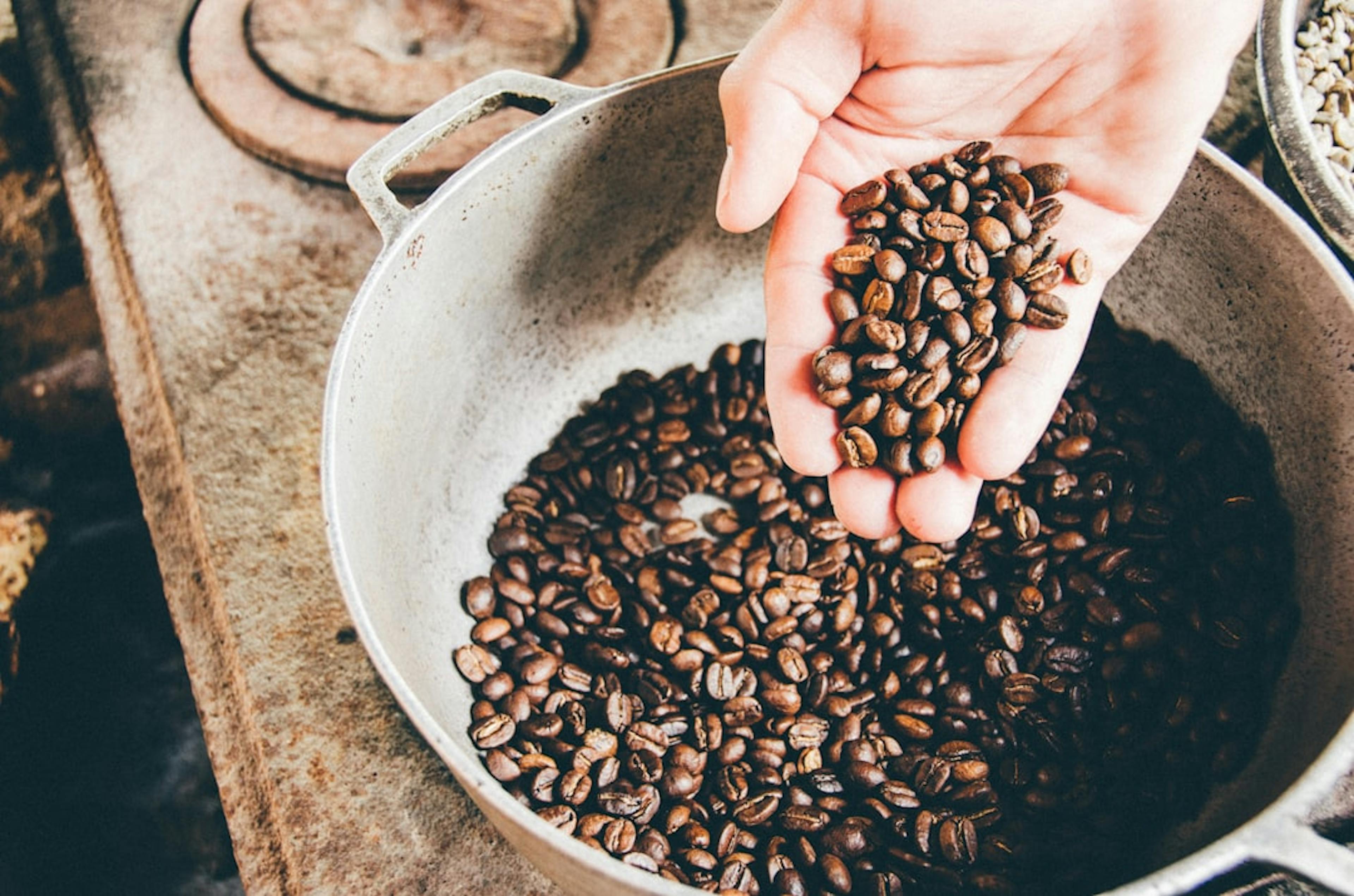 lupin coffee surrounded by roasted lupin beans, showcasing a sustainable alternative to traditional coffee that supports local farming and reduces carbon emissions.