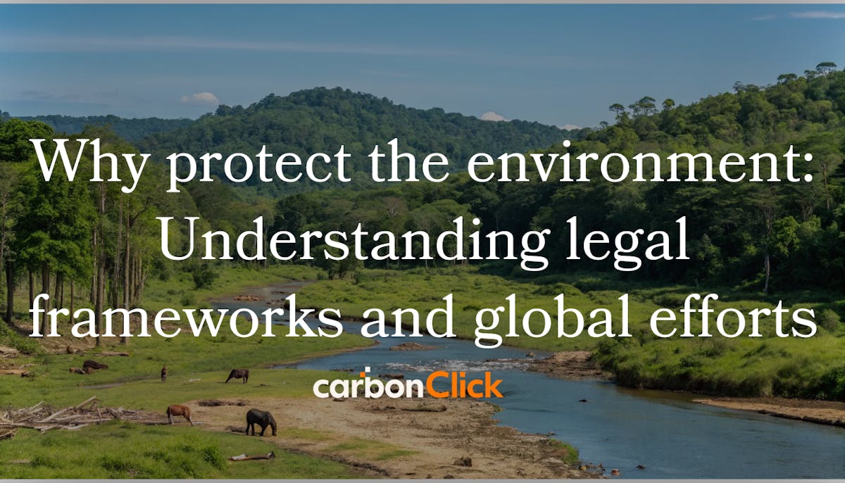 Why protect the environment: Understanding legal frameworks and global efforts.