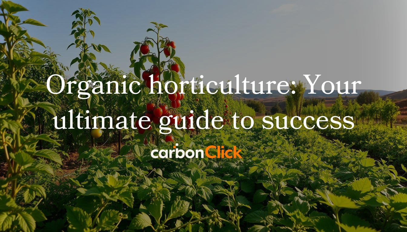 Organic horticulture: Your ultimate guide to success