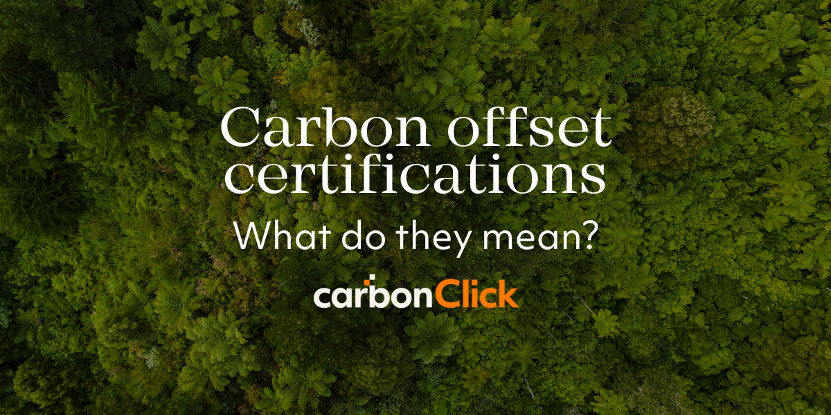 Image showcasing Carbon offset certifications: what do they mean?