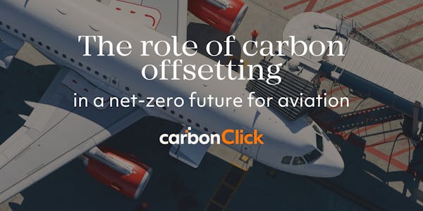 The role of carbon offsetting in a net-zero future for aviation
