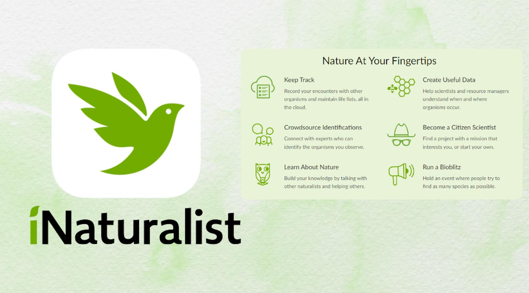 iNaturalist