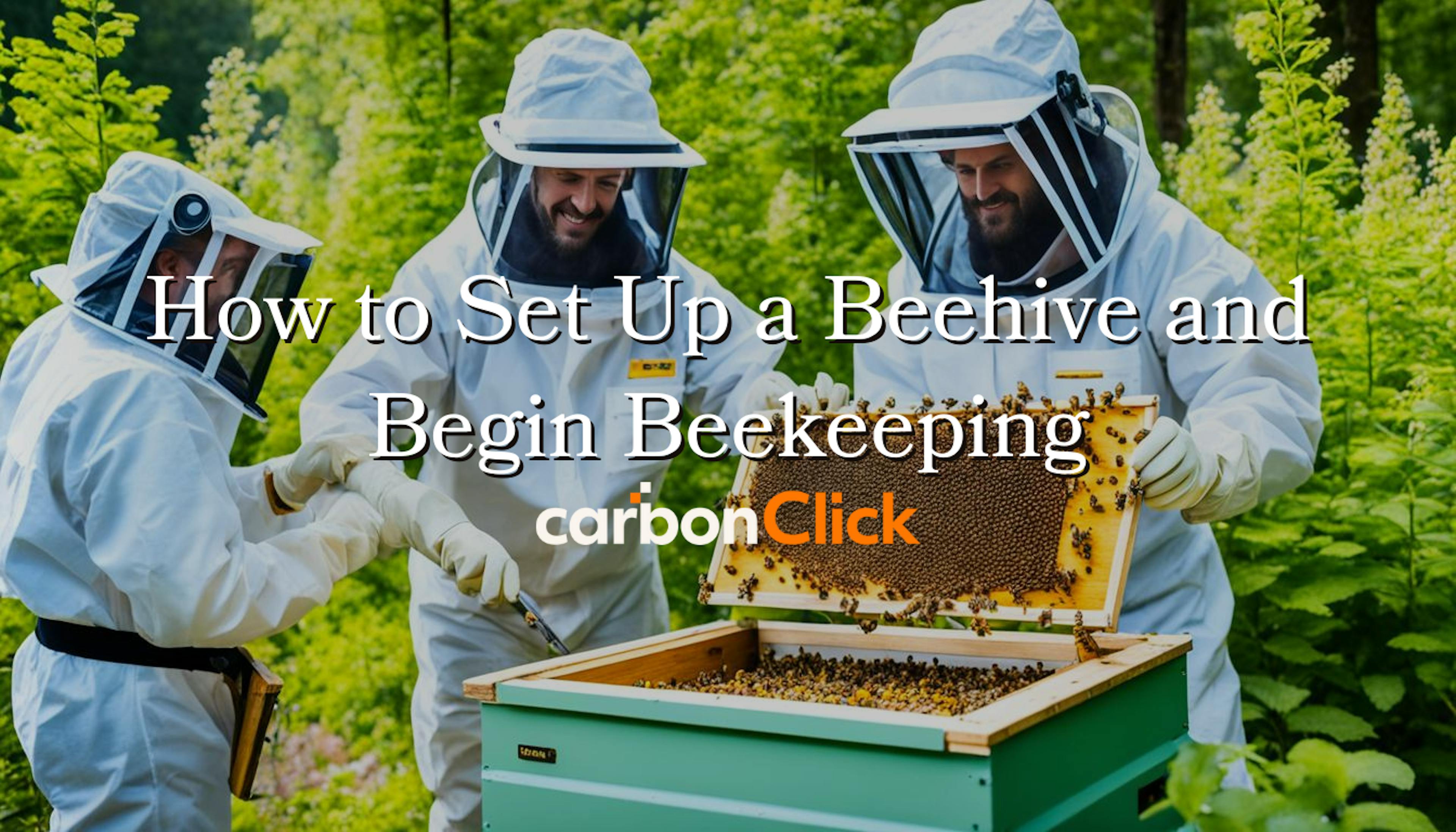 Beehive Setup How to Set Up a Beehive and Begin Beekeeping