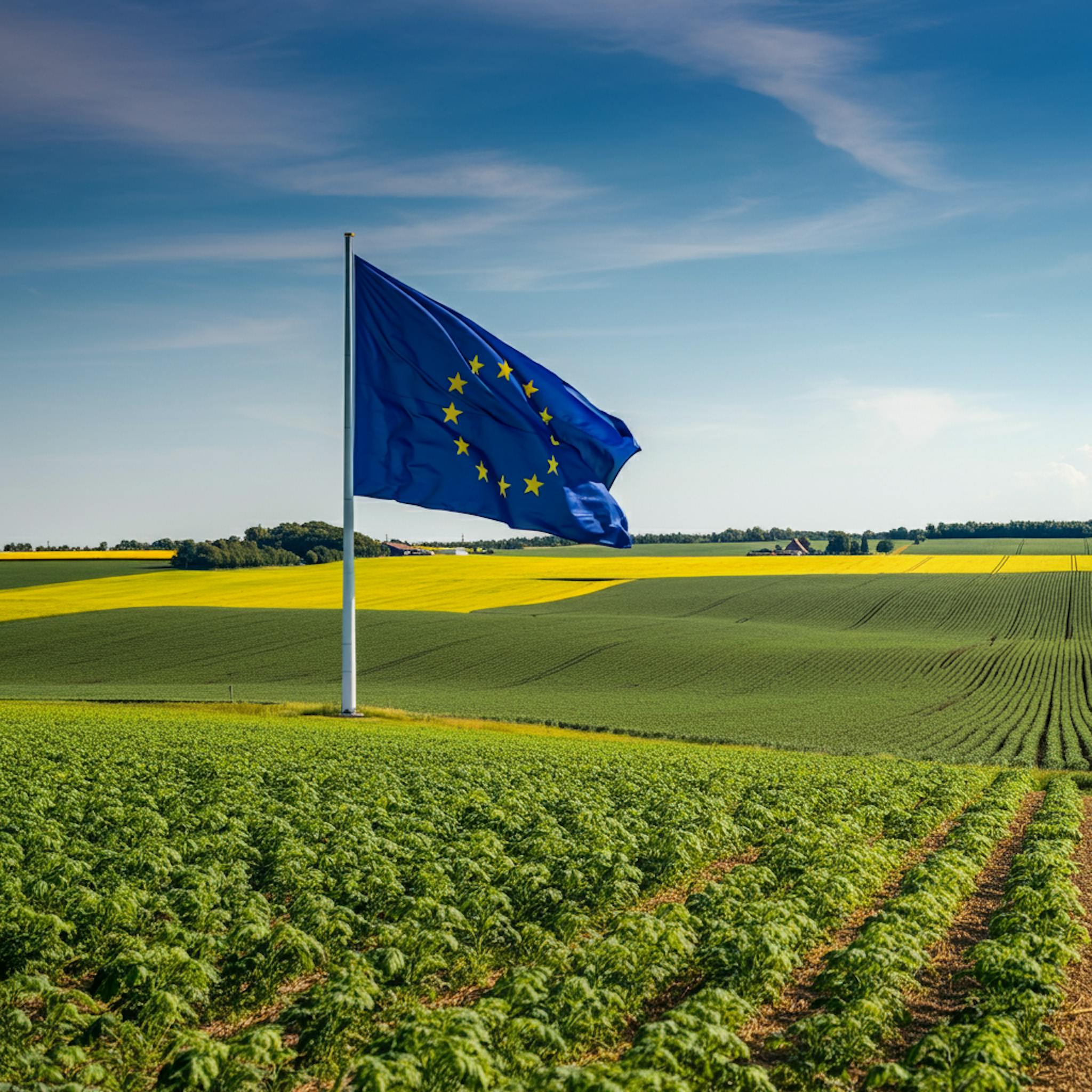 A vibrant field of neatly aligned crops with an EU flag in the background, symbolising the success of the CAP 2023-27 reforms in enhancing sustainable farming