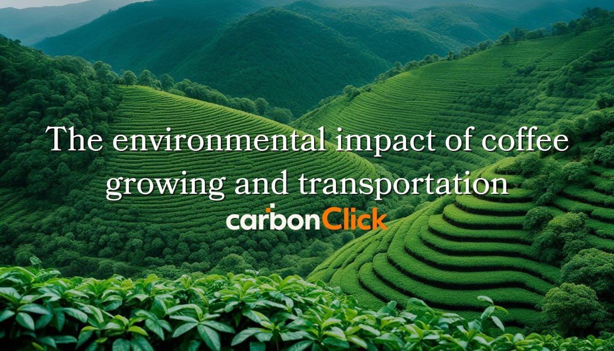 The environmental impact of coffee growing and transportation