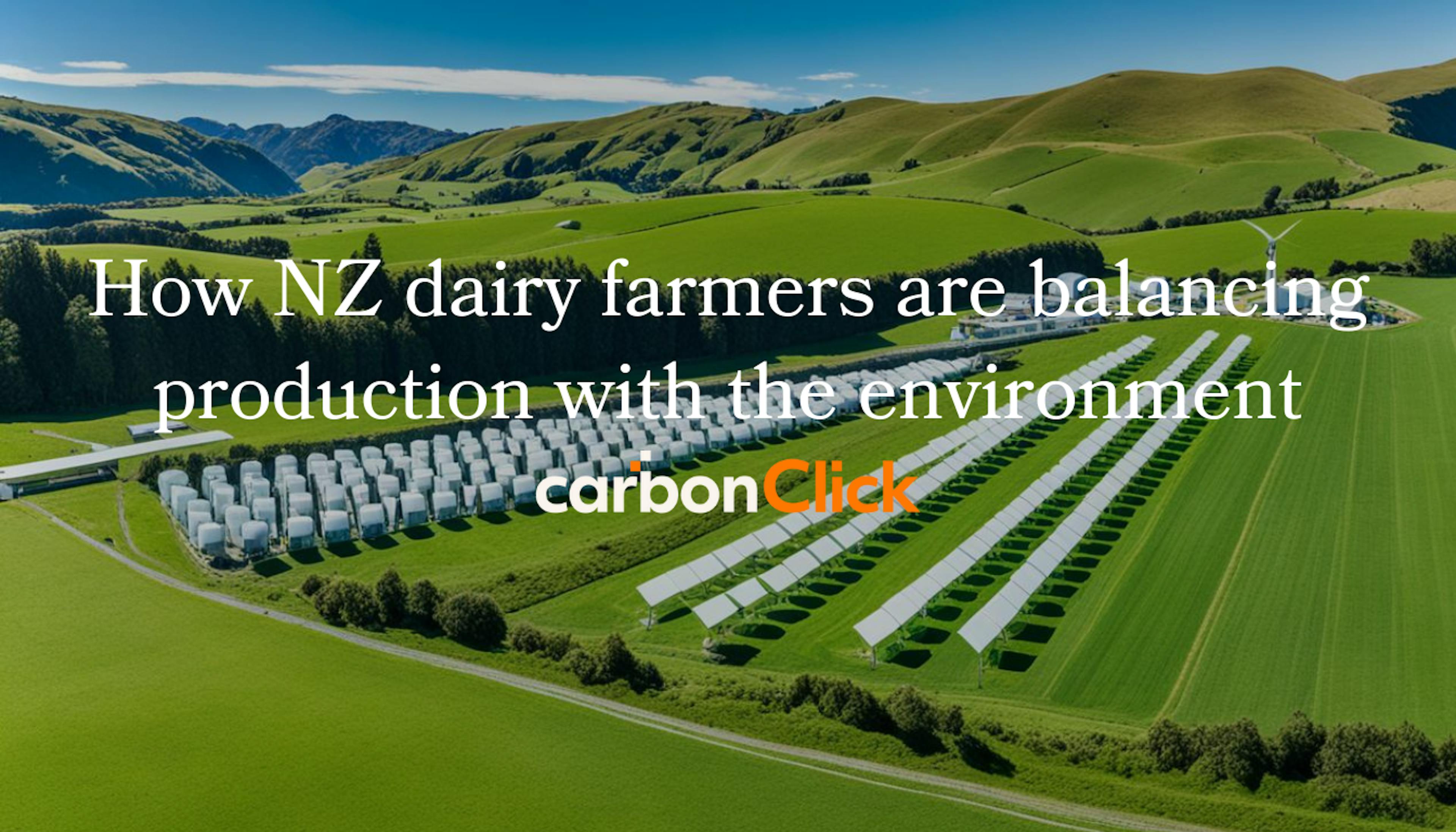 How NZ dairy farmers are balancing production with the environment