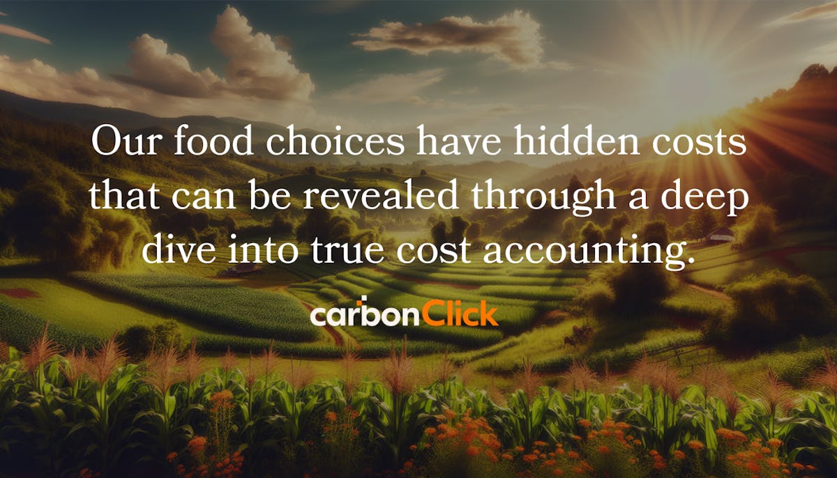 Our food choices have hidden costs that can be revealed through a deep dive into true cost accounting.