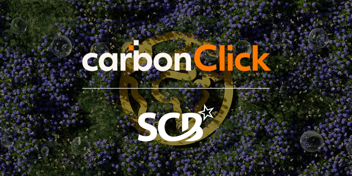 SAF and carbon offsetting solution