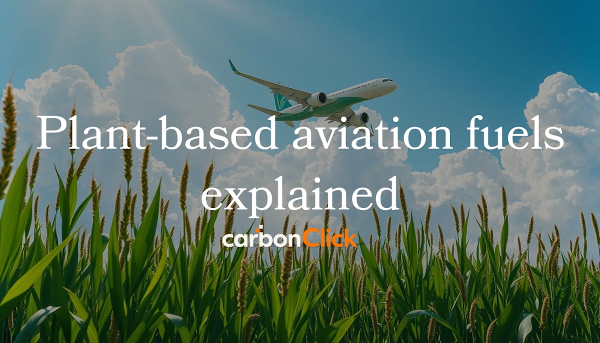 Plant-based aviation fuels explained