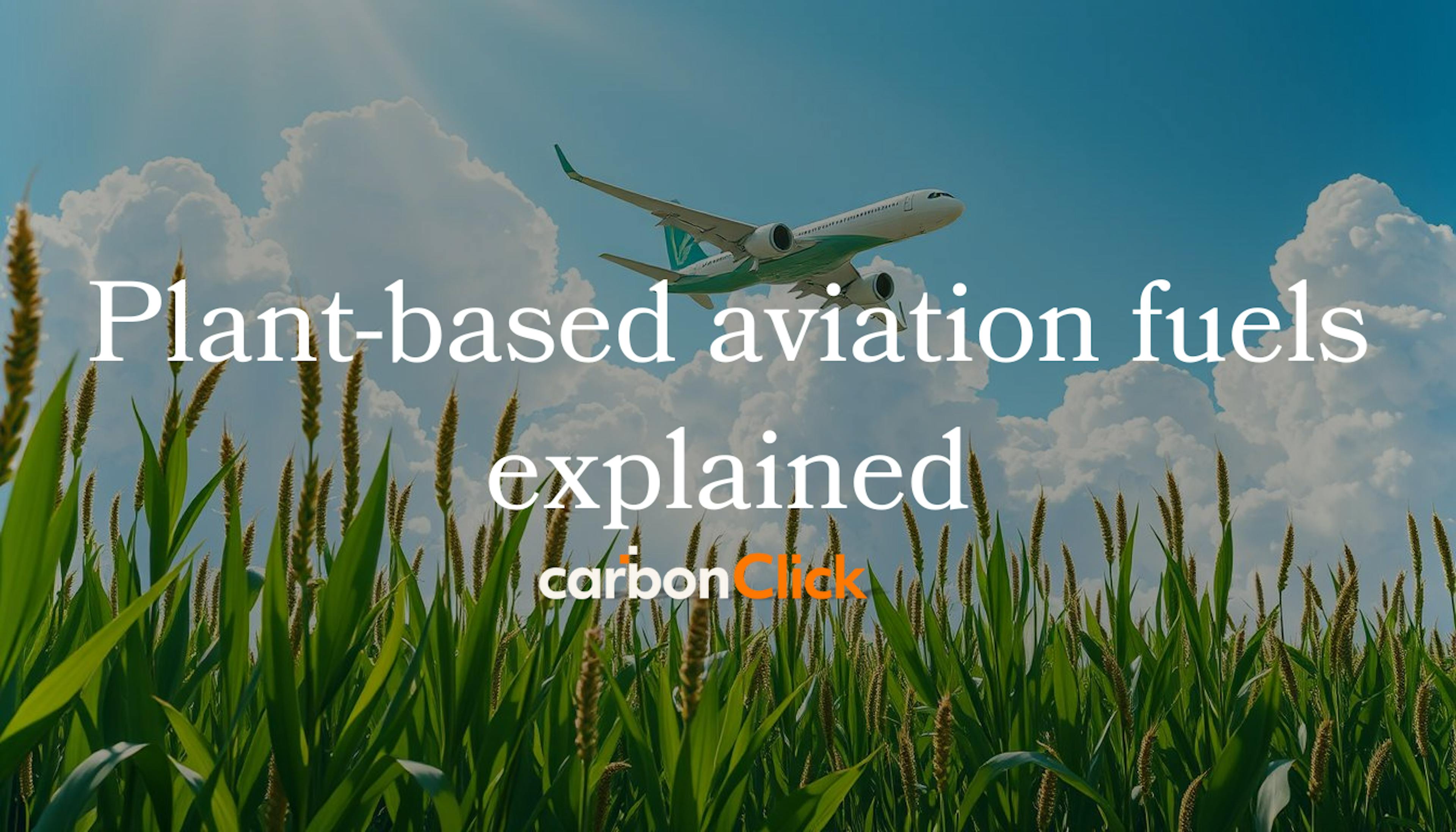 Plant-based aviation fuels explained