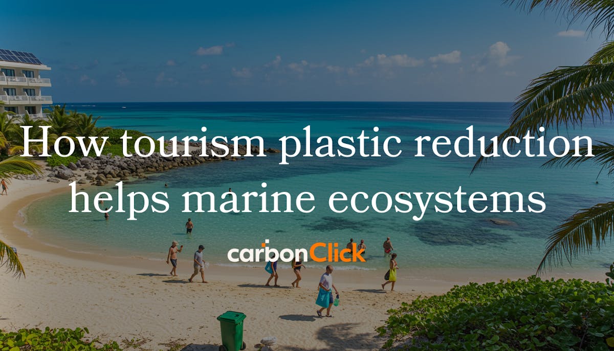 How tourism plastic reduction helps marine ecosystems