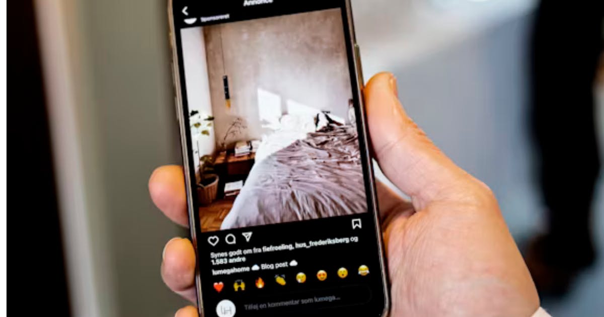 Using social media to find vegan hotels