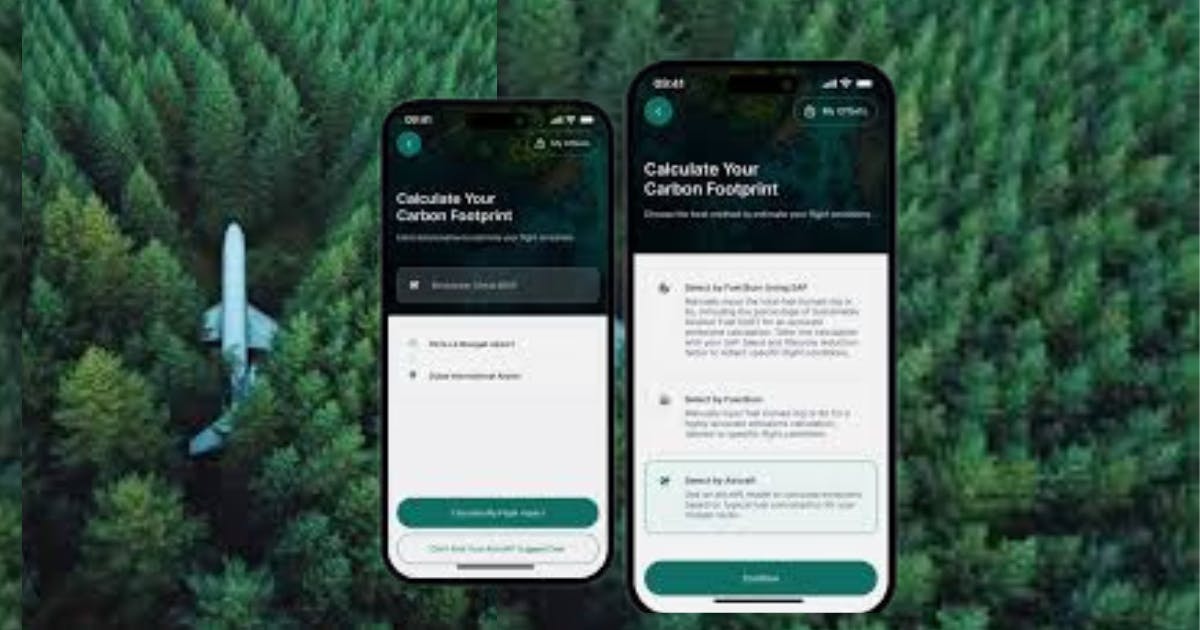 How to calculate and purchase carbon offsets for your flight
