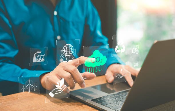 Step-By-Step Guide To Sustainability