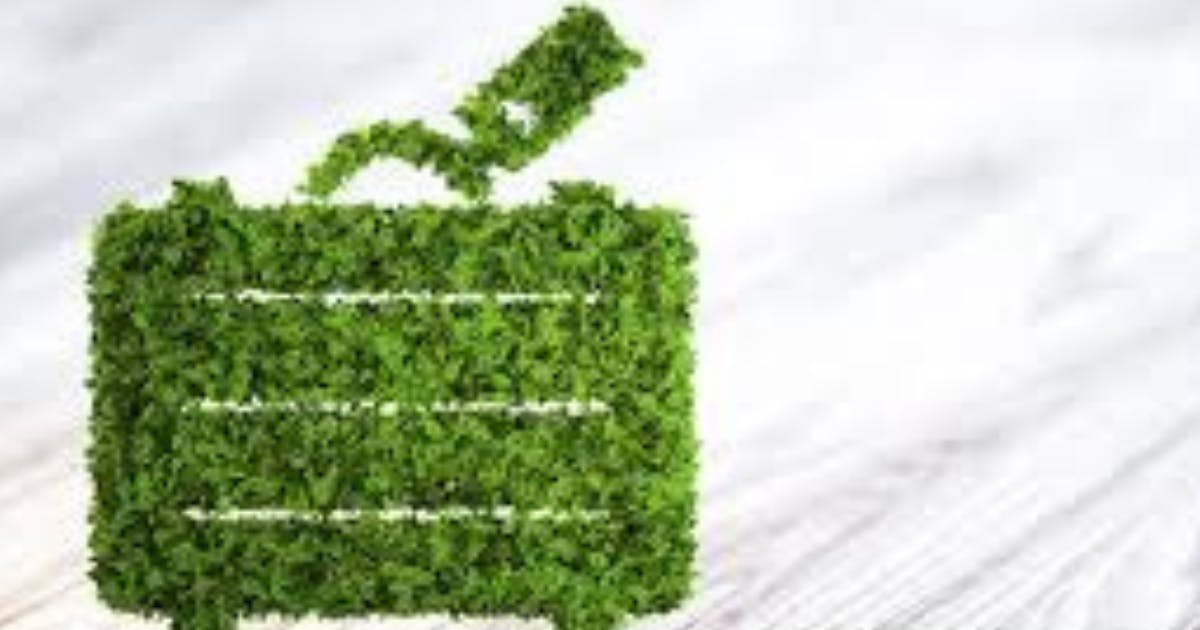 Ensuring seamless vegan travels