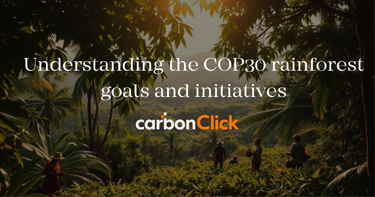 Understanding the COP30 rainforest goals and initiatives