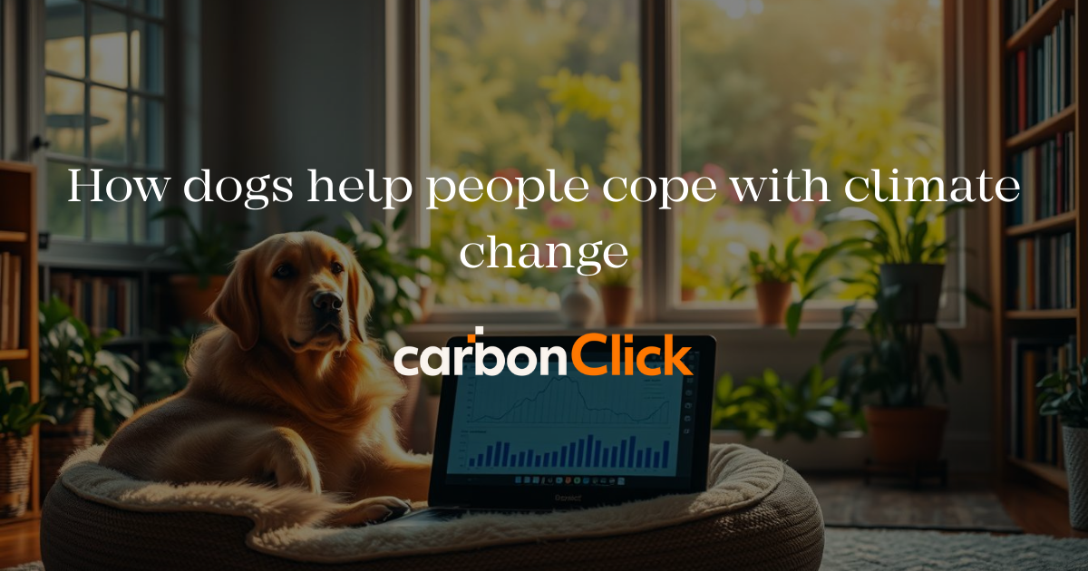 How dogs help people cope with climate change