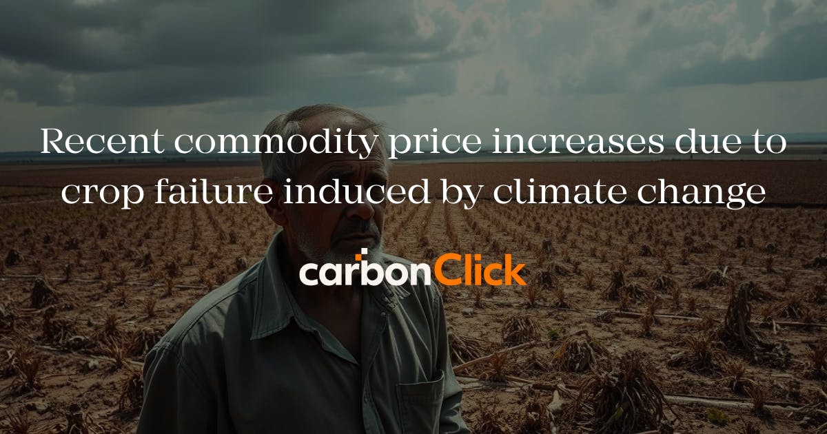 A farmer standing front screen and having a malnoursihed farmland in the rear.