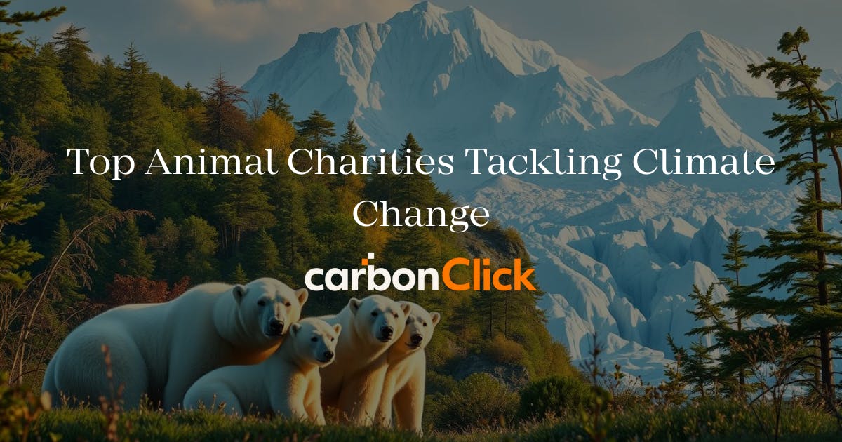 A sloth of bears on a hill