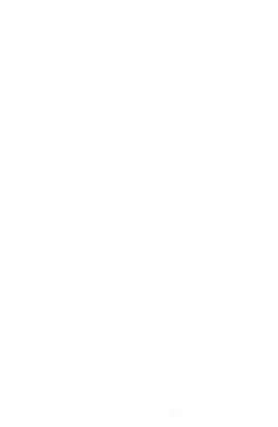 B Corp, contribution to high integrity carbon projects