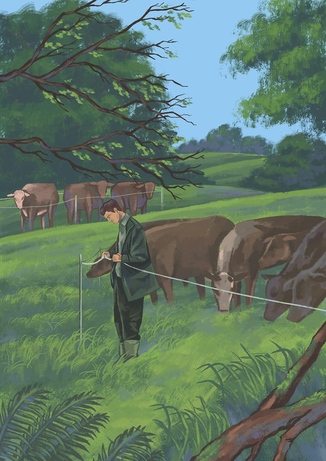 Farmer Practicing Holistic Grazing