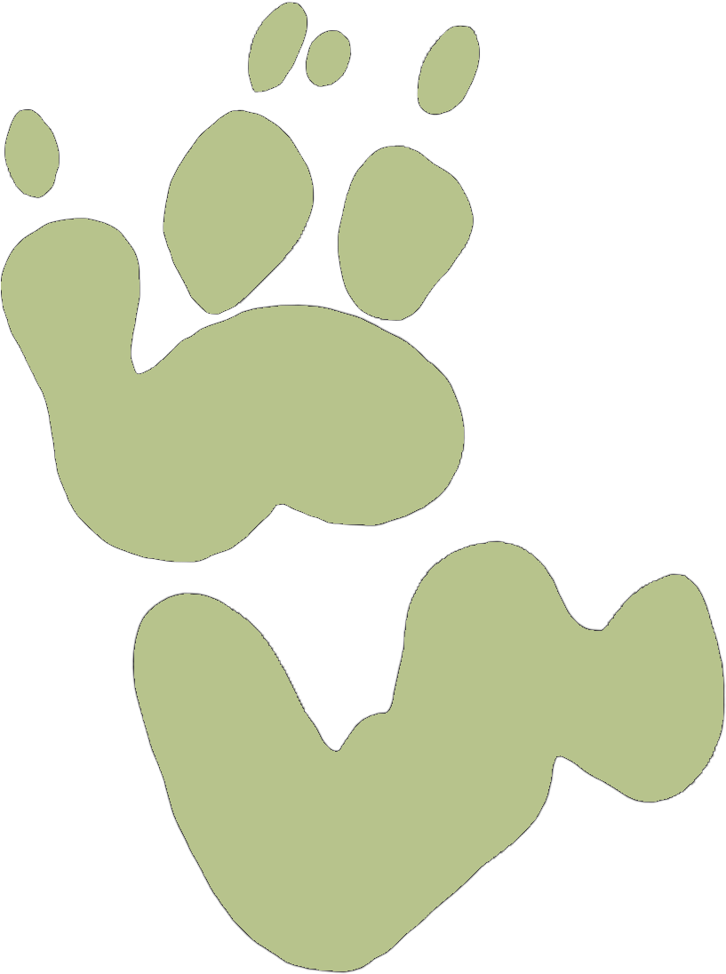 Wombat Footprints Icon