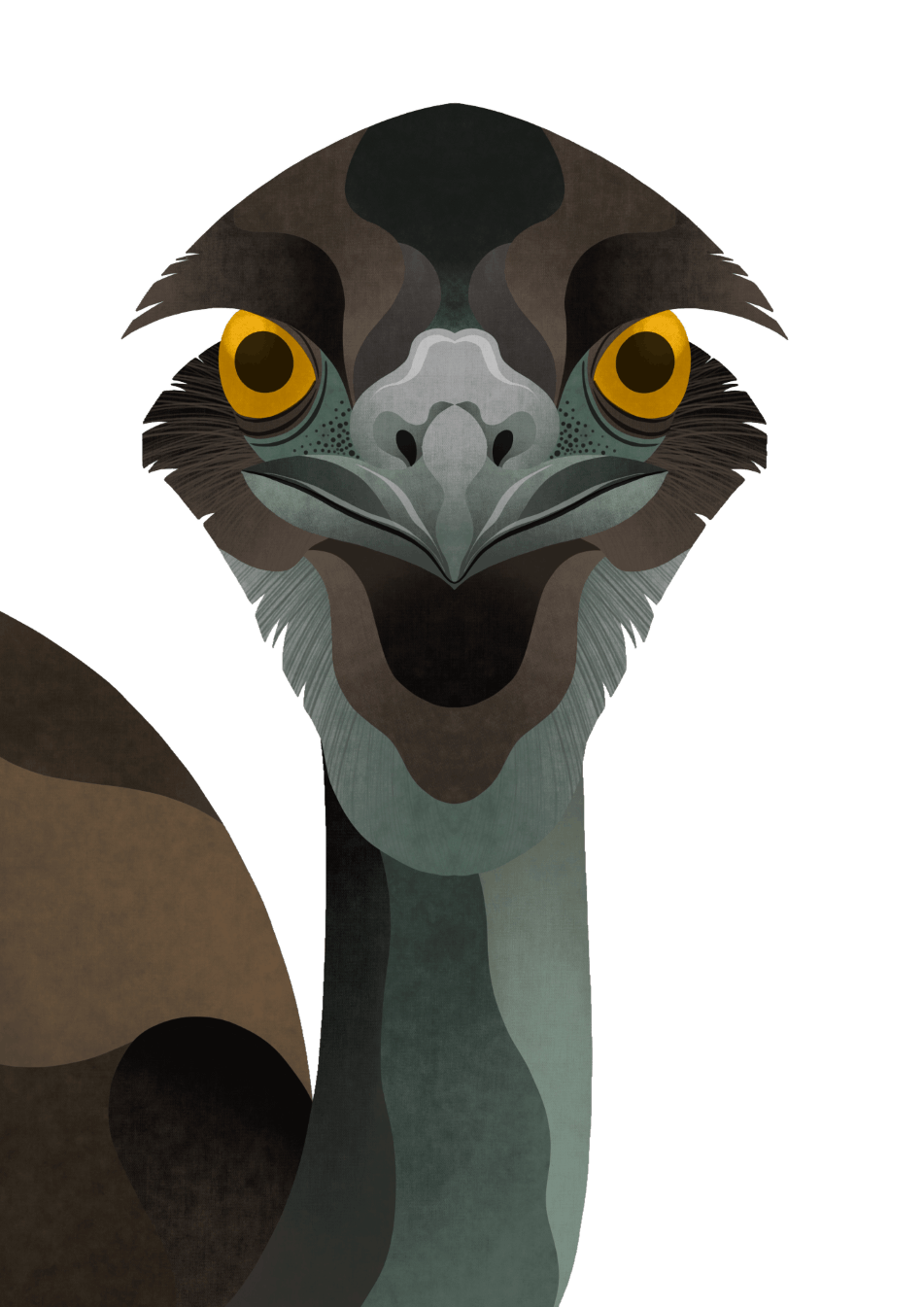 Animal 3