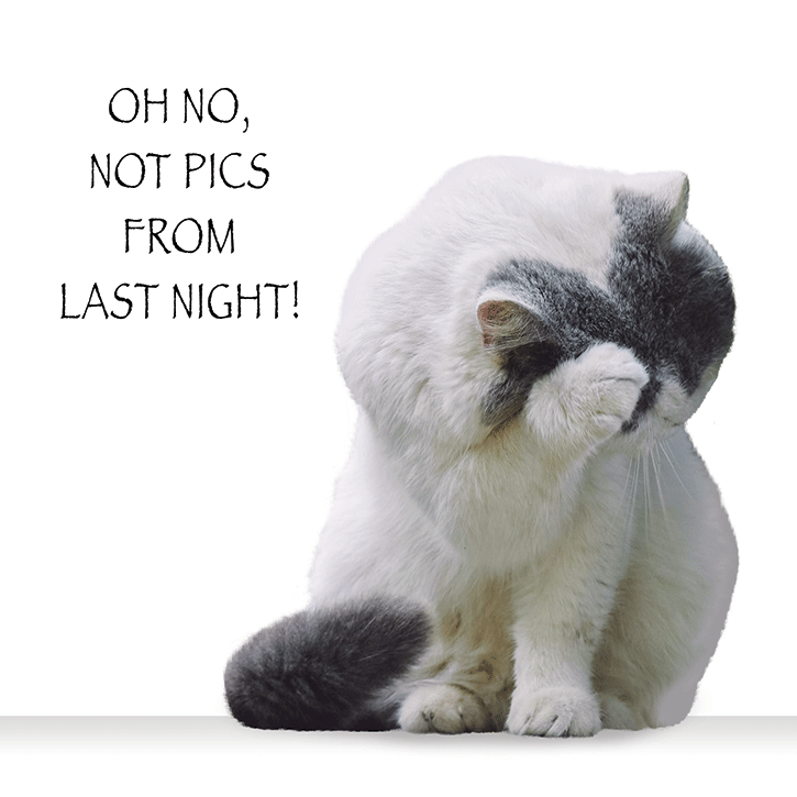 Cardgains Kingfisher Cards Funimals