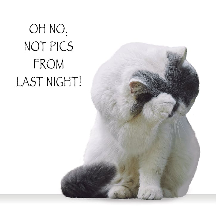 Cardgains Kingfisher Cards Funimals