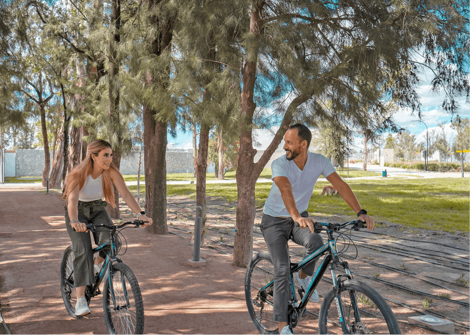 Lifestyle Bicicletas