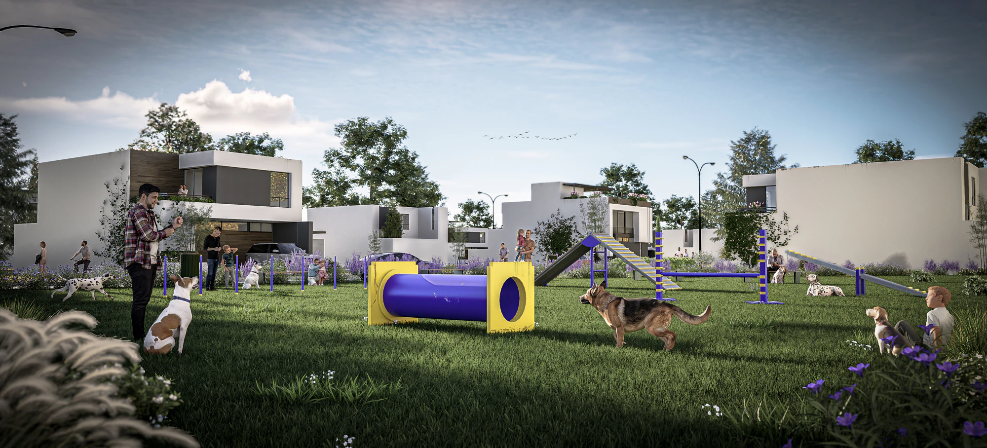 Pet Park
