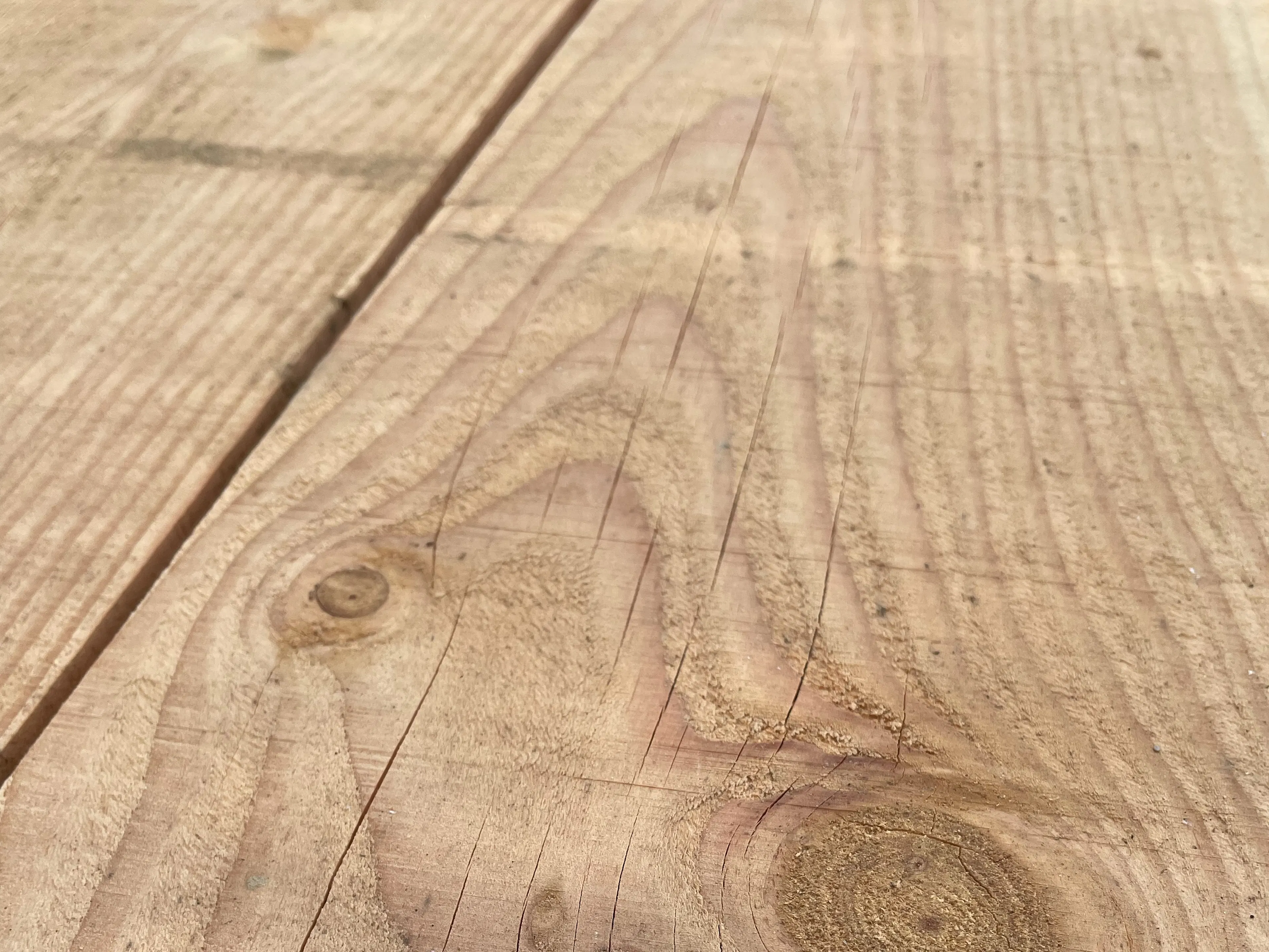 A close up image of a green oak sample block of timber which has been rough sawn