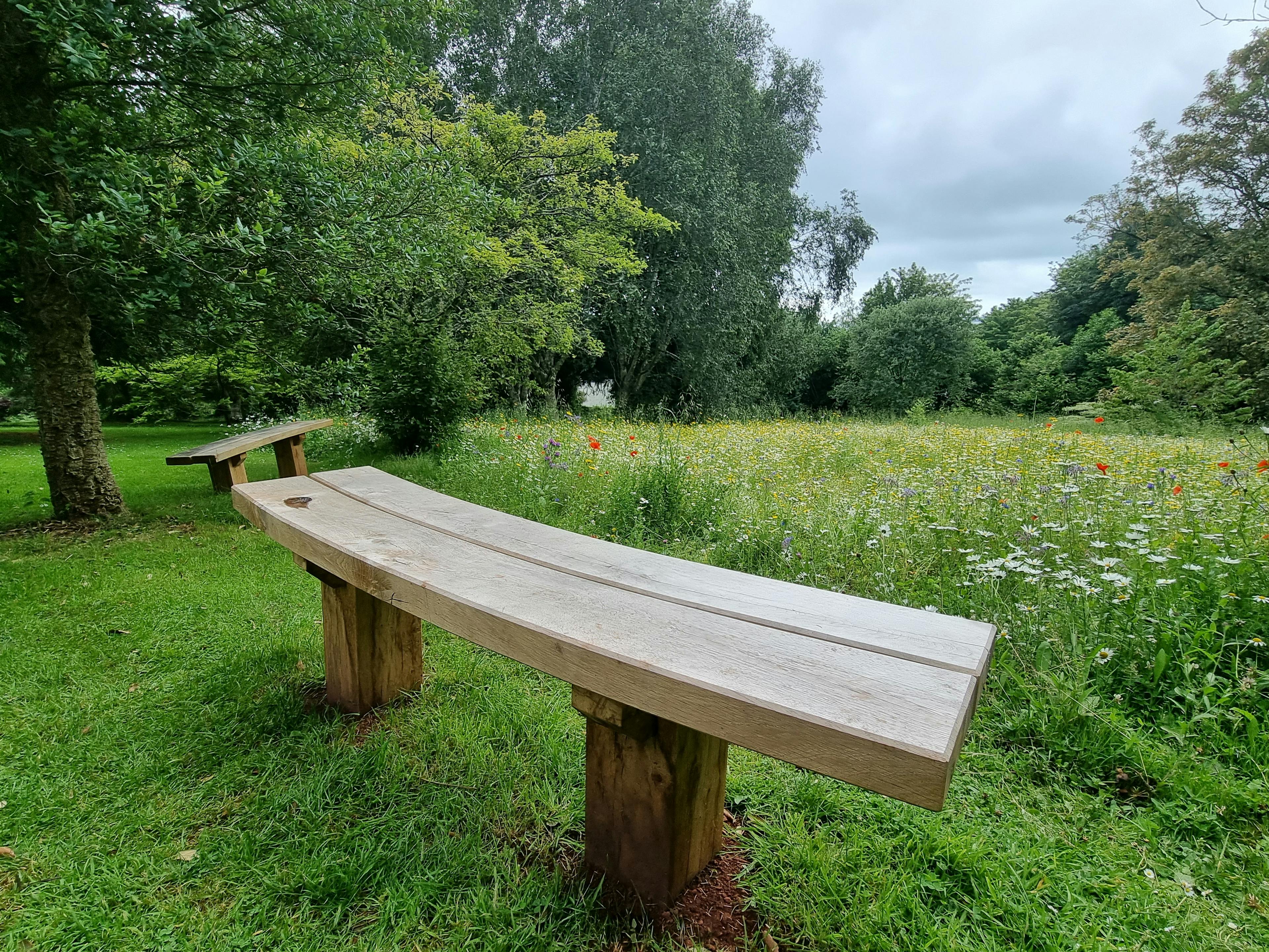Two oak benches in a meadow