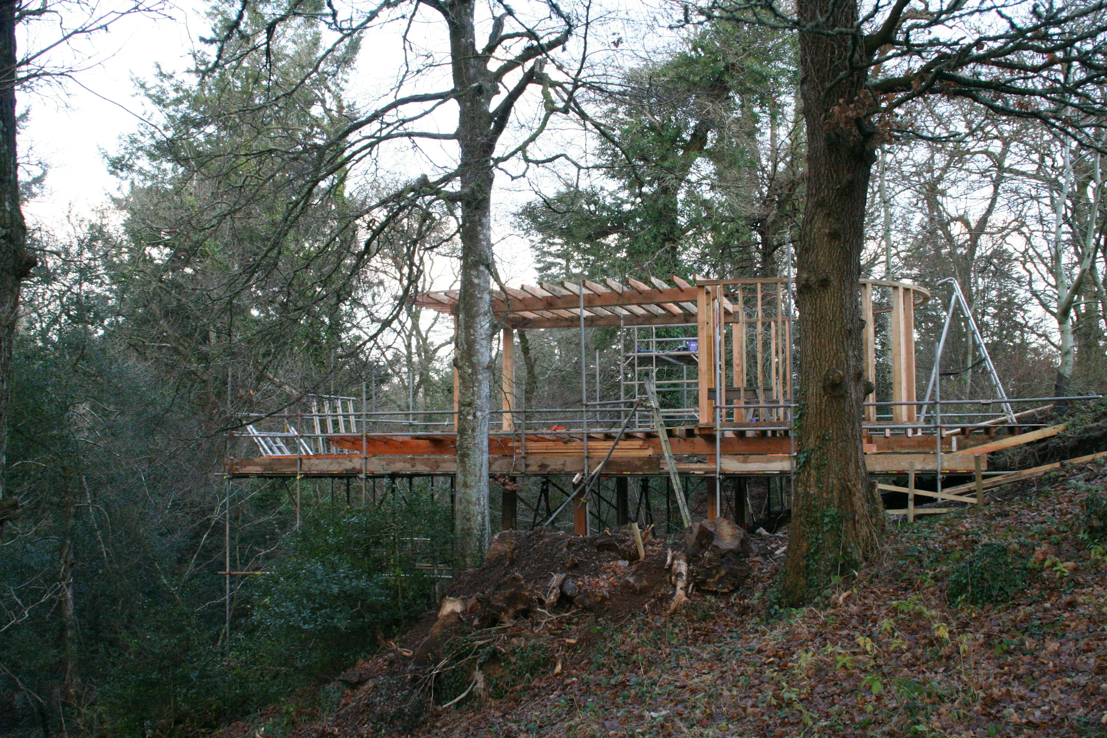 A Douglas fir framed cabin on stilts during construction
