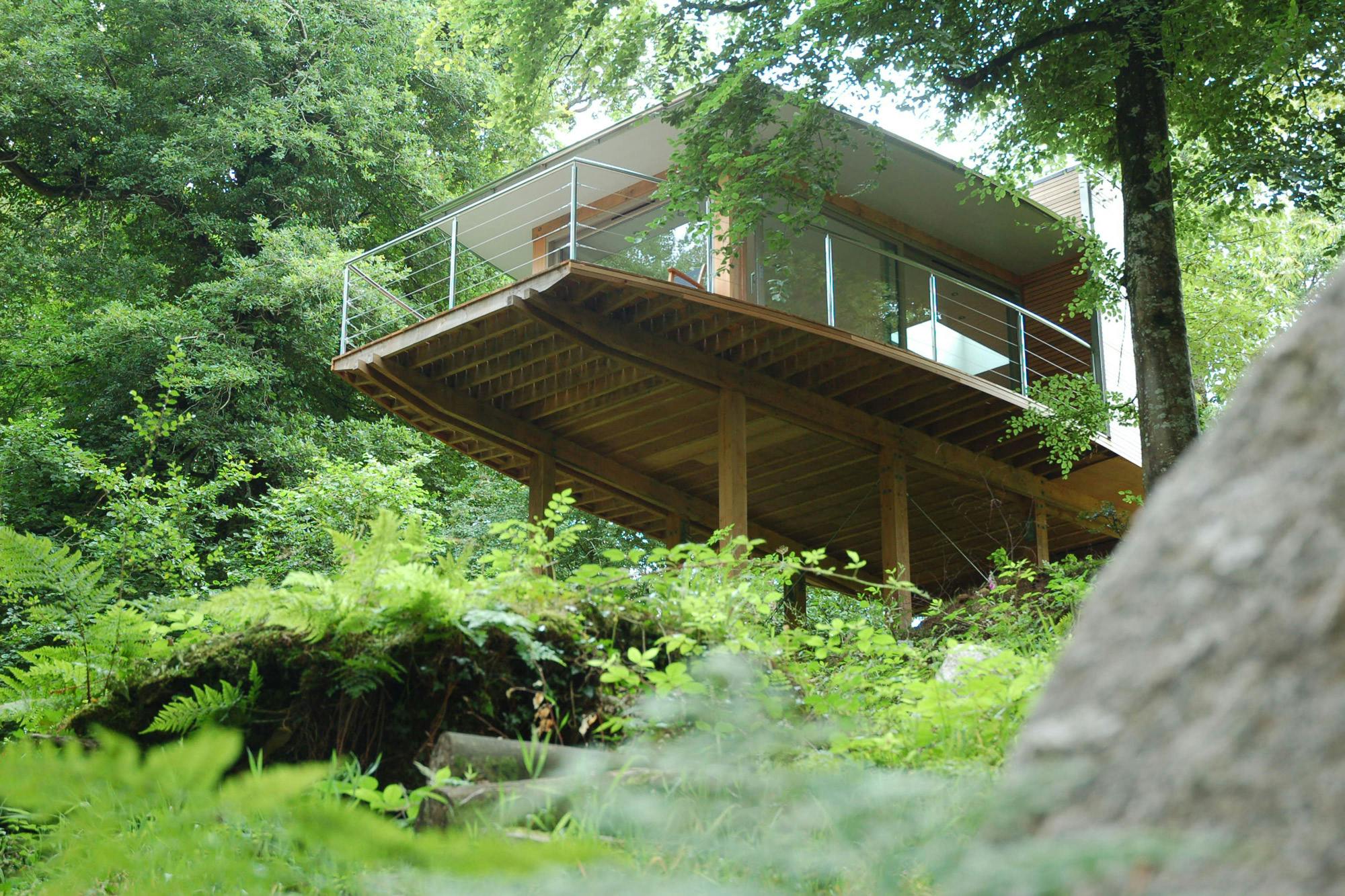 A Douglas fir framed cabin on stilts on a steep green sloping site nestles in the trees