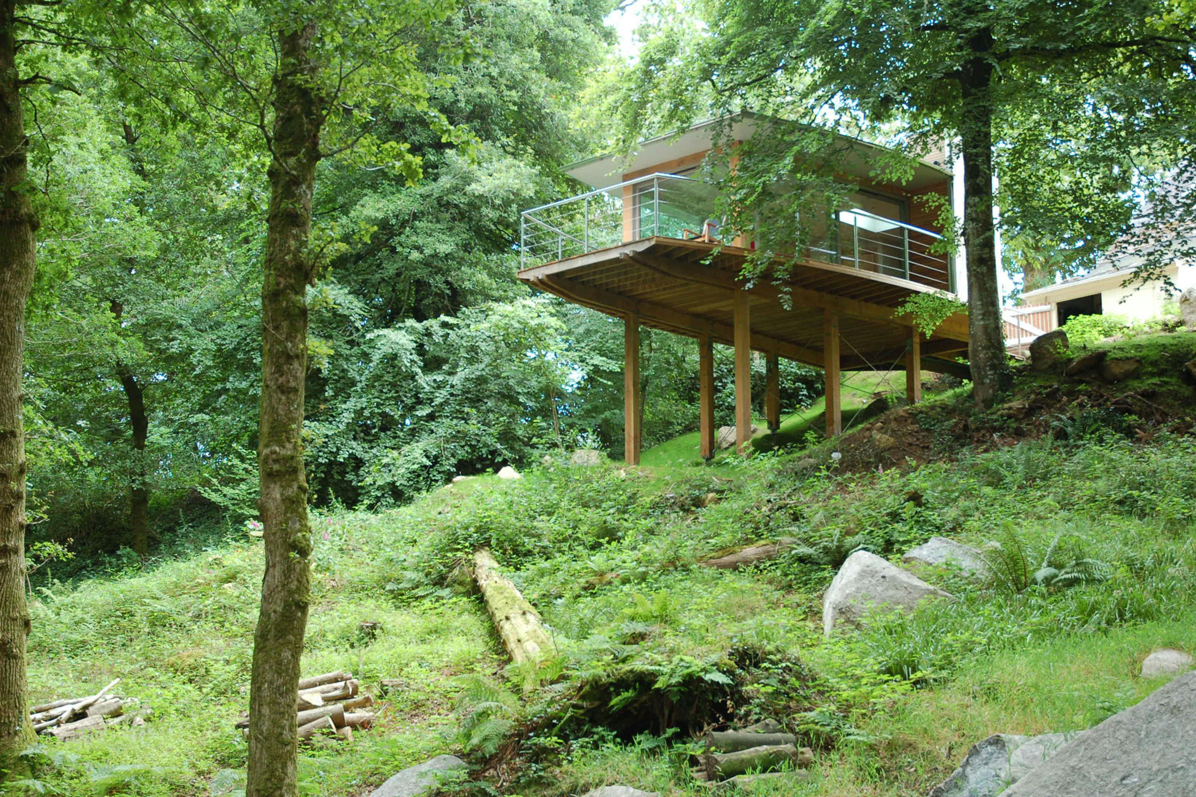 A Douglas fir framed cabin on stilts on a steep green sloping site nestles in the trees