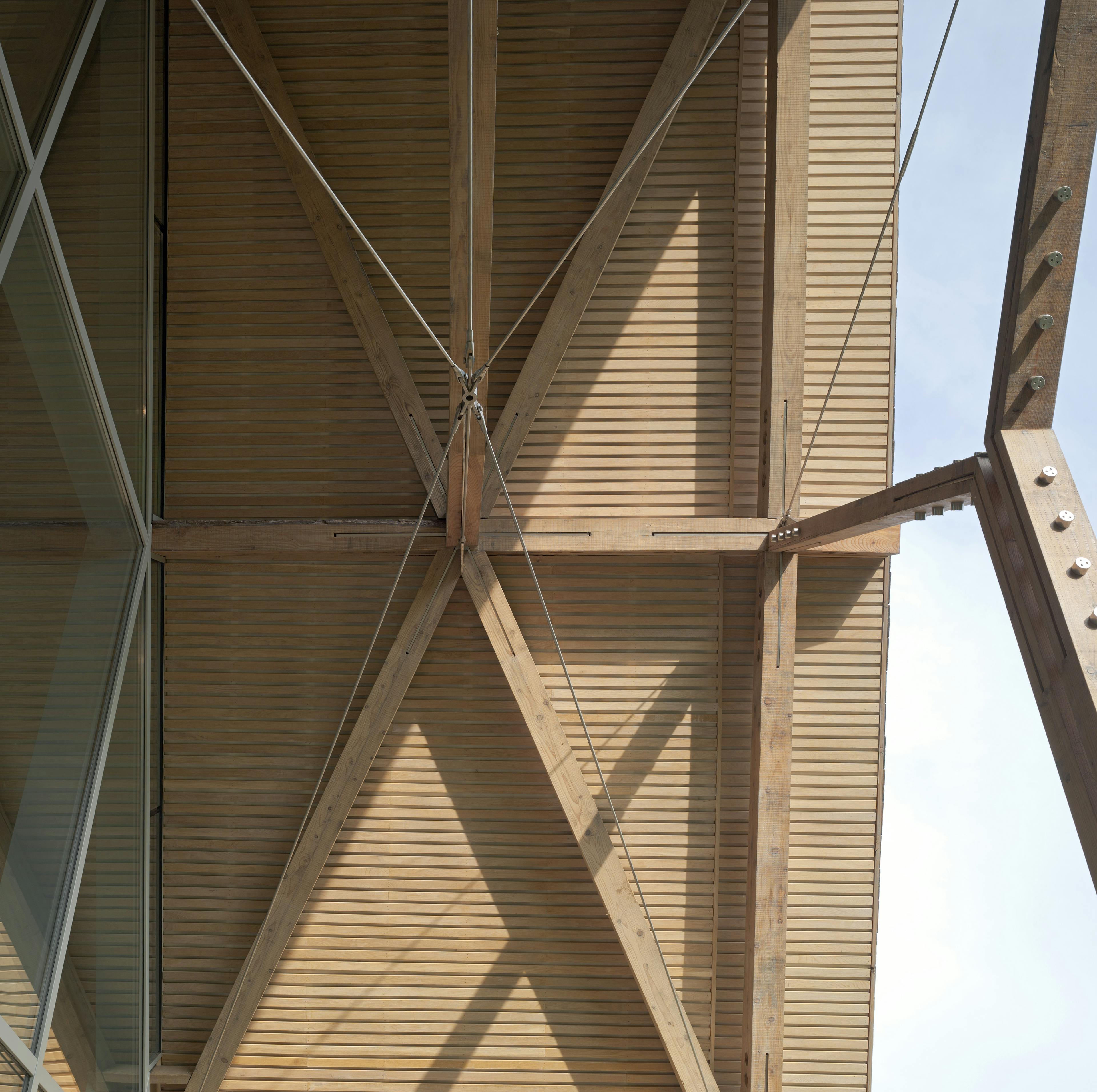 Underneath a porch for a visitors centre and cafe made with a diagrid roof constructed from larch