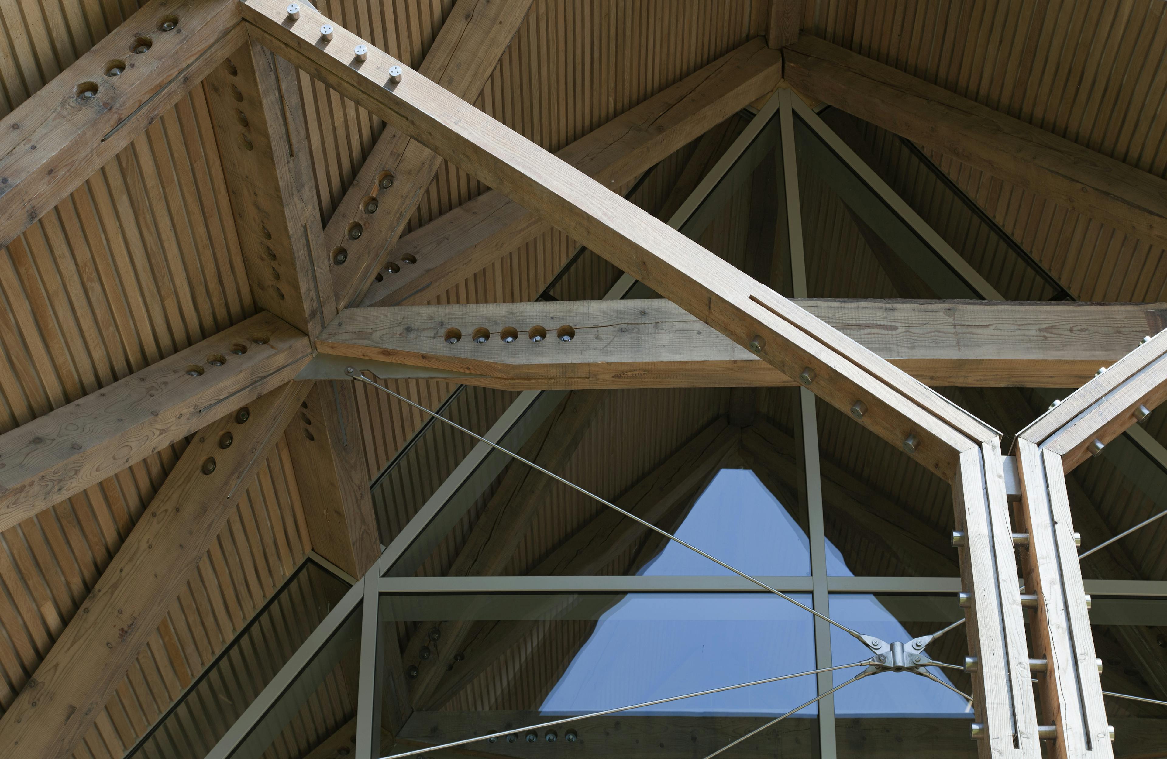 Underneath a porch for a visitors centre and cafe made with a diagrid roof constructed from larch