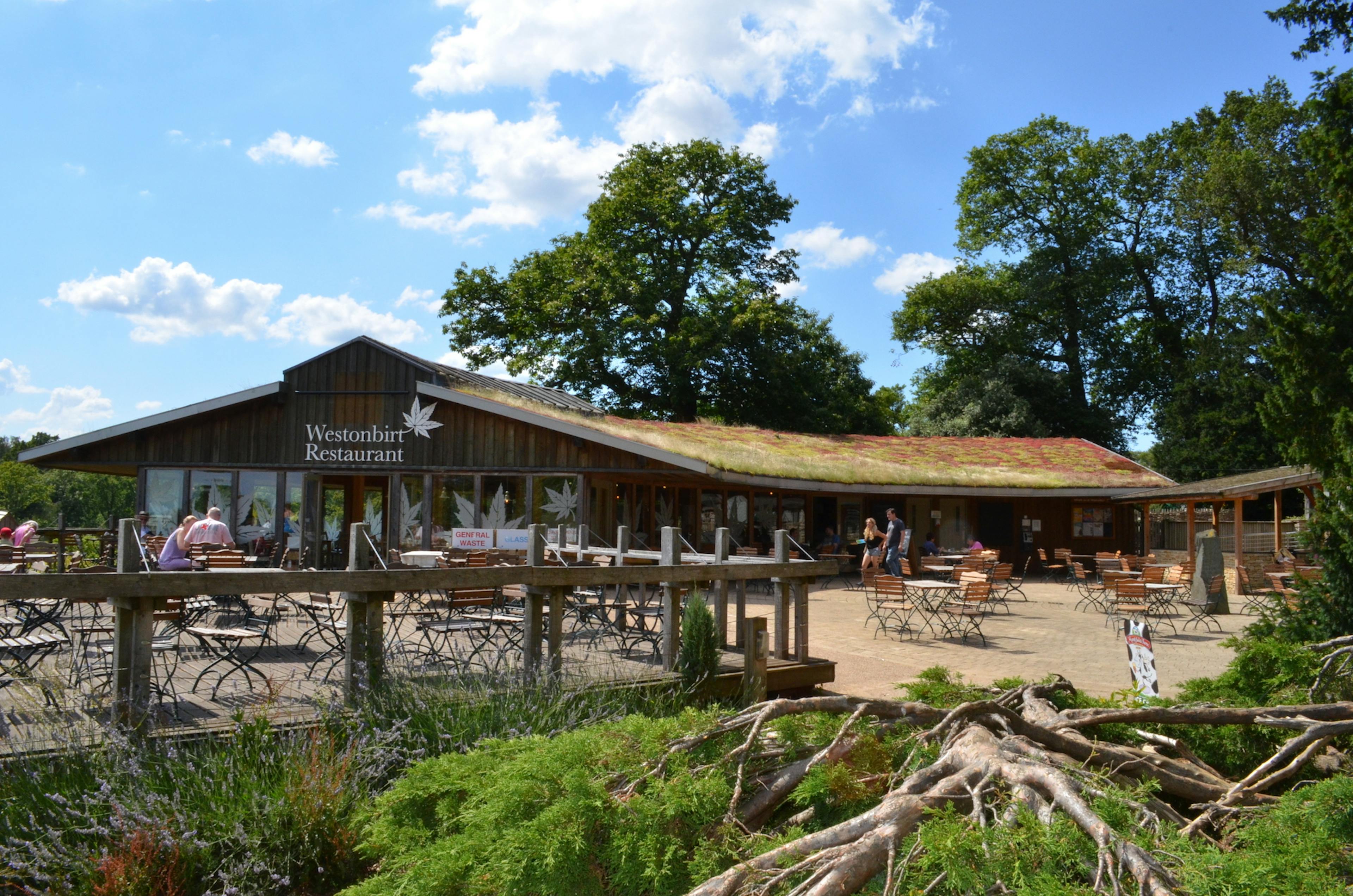 Maples Restaurant at the Westonbirt Arboretum