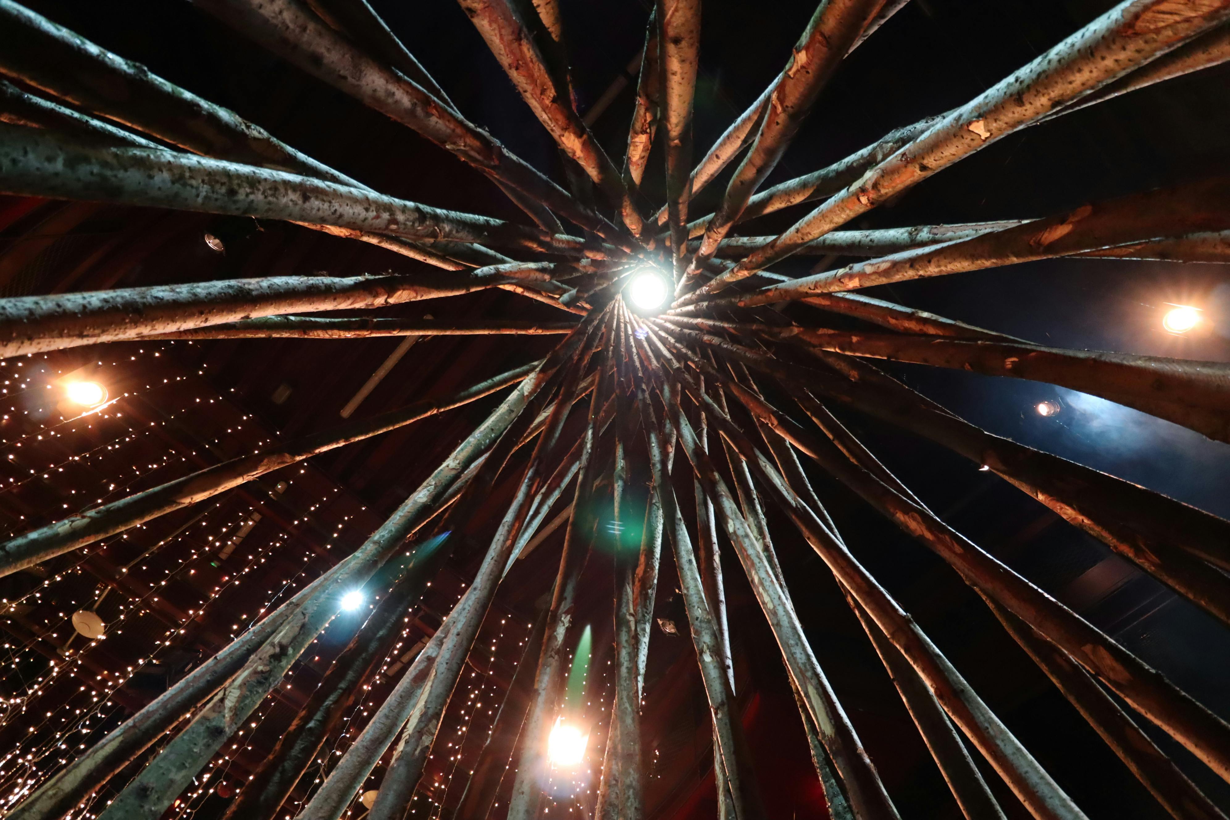 Looking up at a wooden structure for the forest of imagination festival 2022