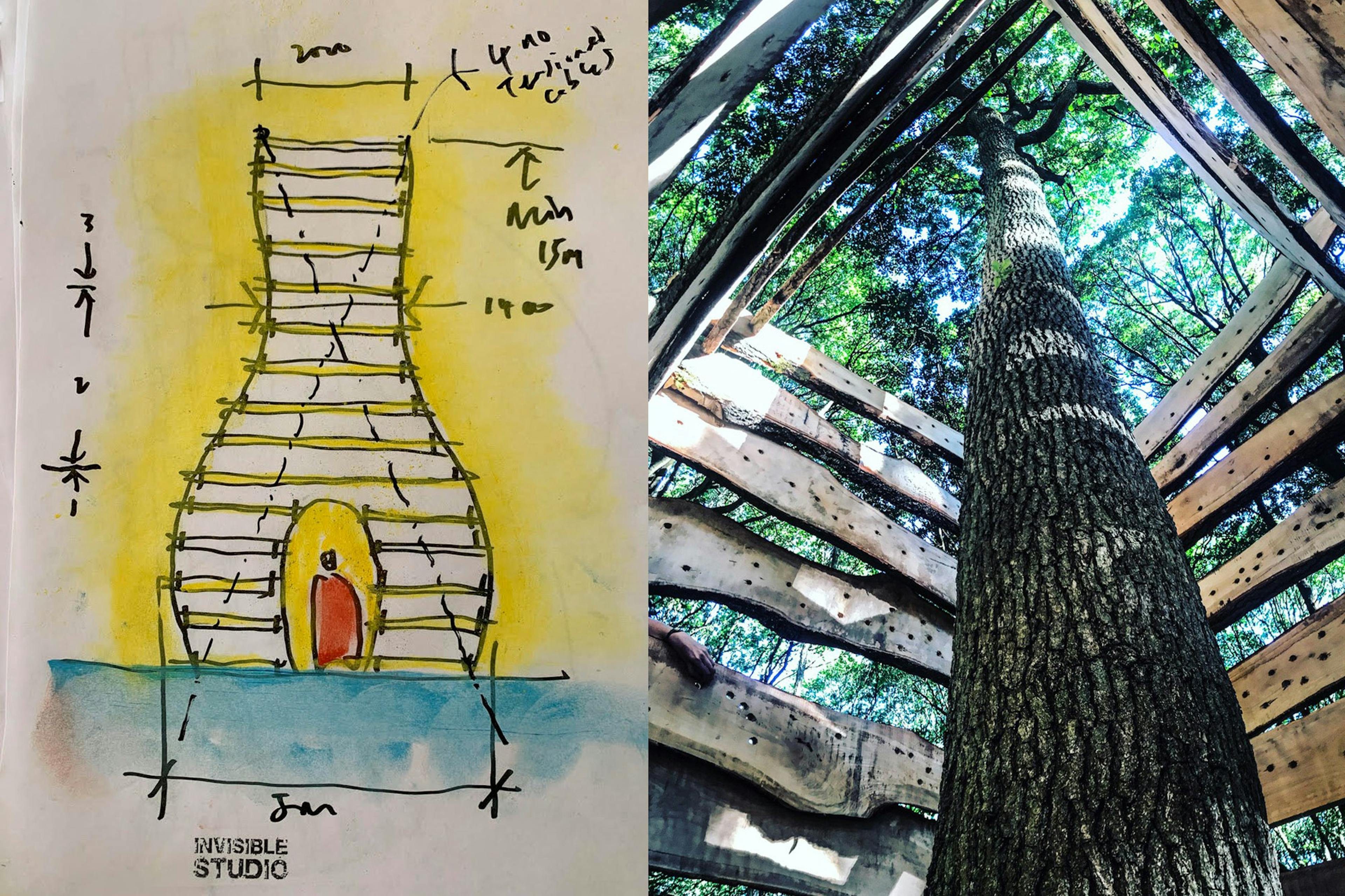 Concept drawing and structure for forest of imagination 2019