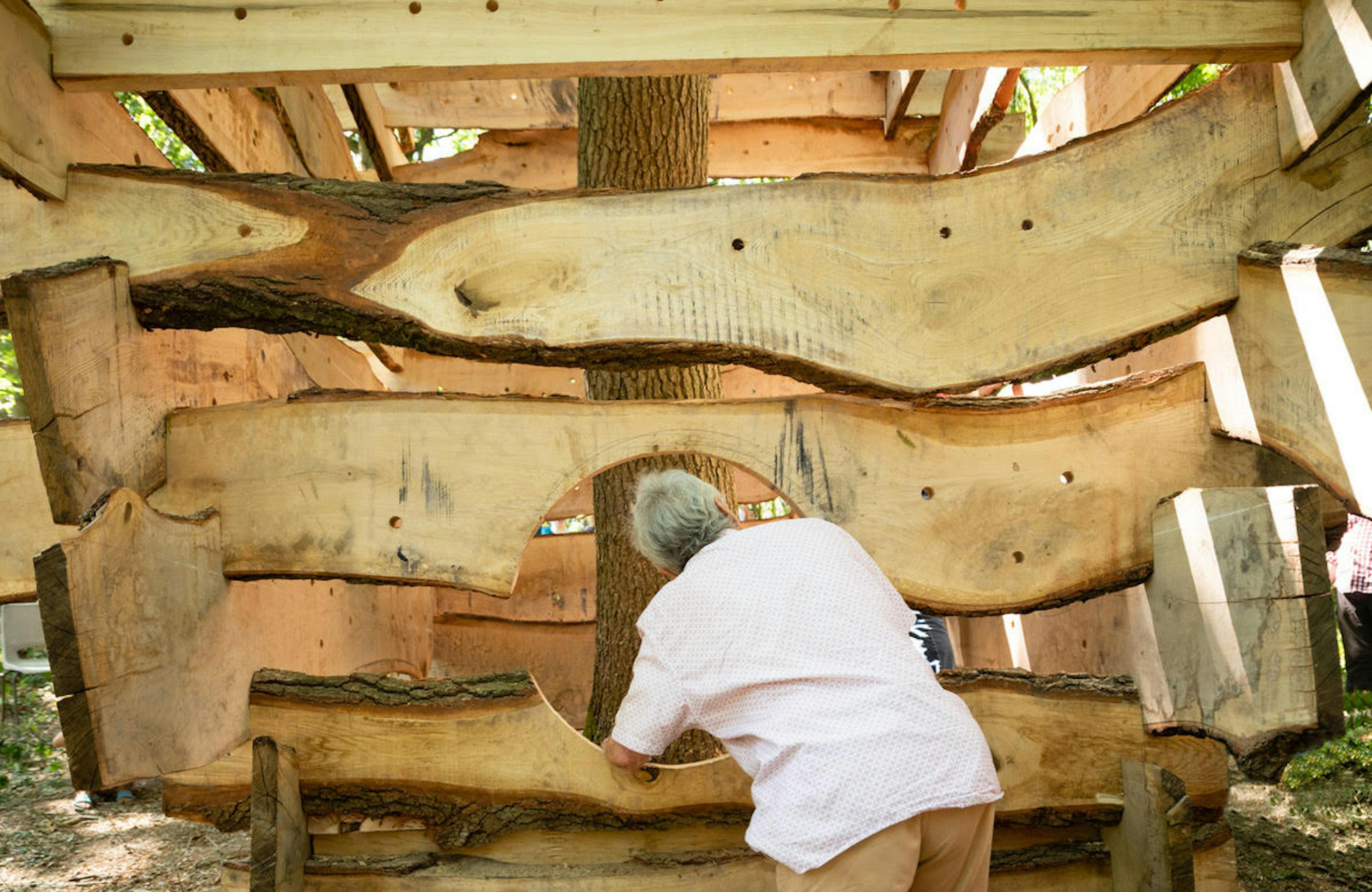 Concept structure for forest of imagination 2019