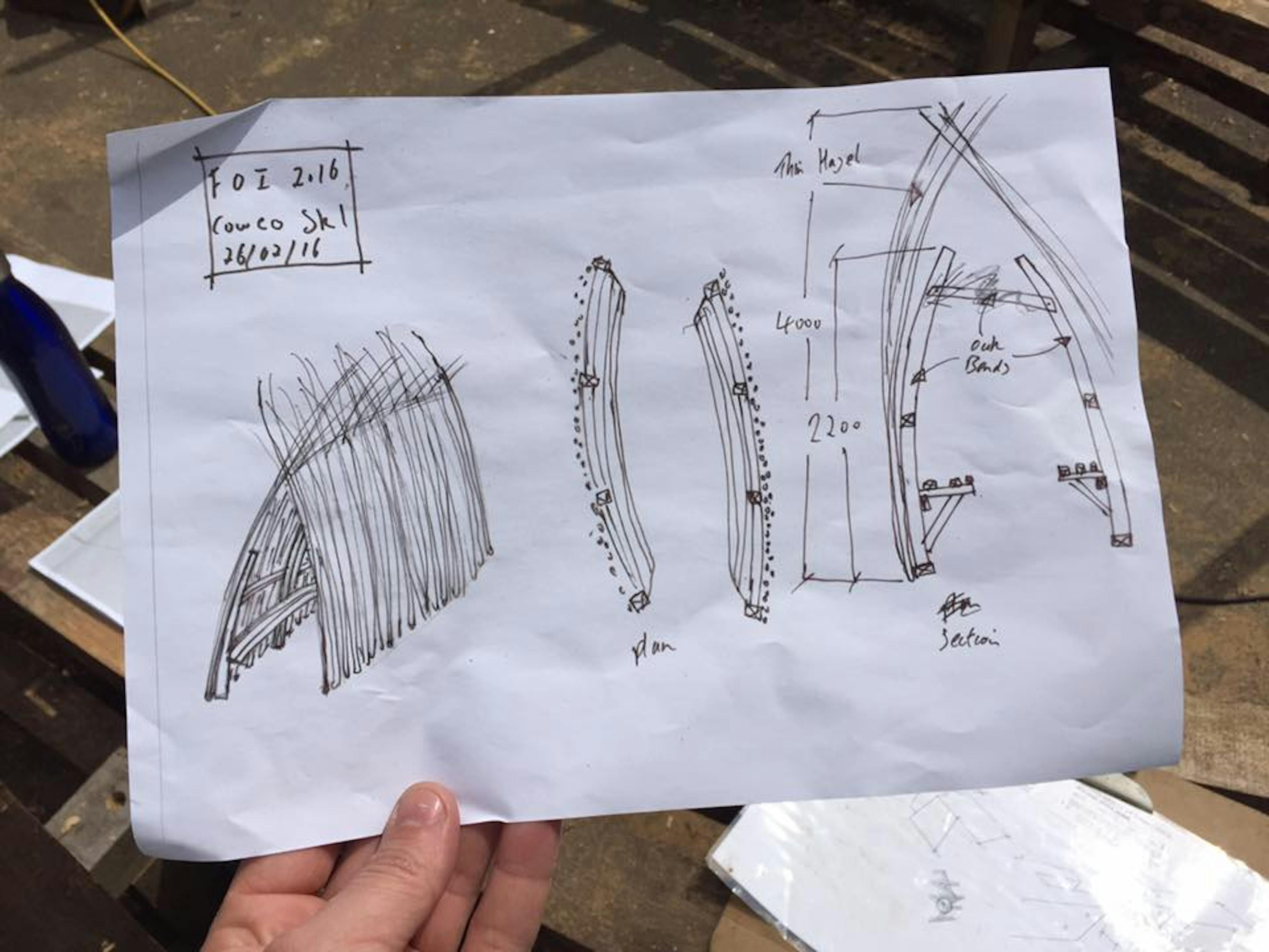 Bowerbird-bench-drawing