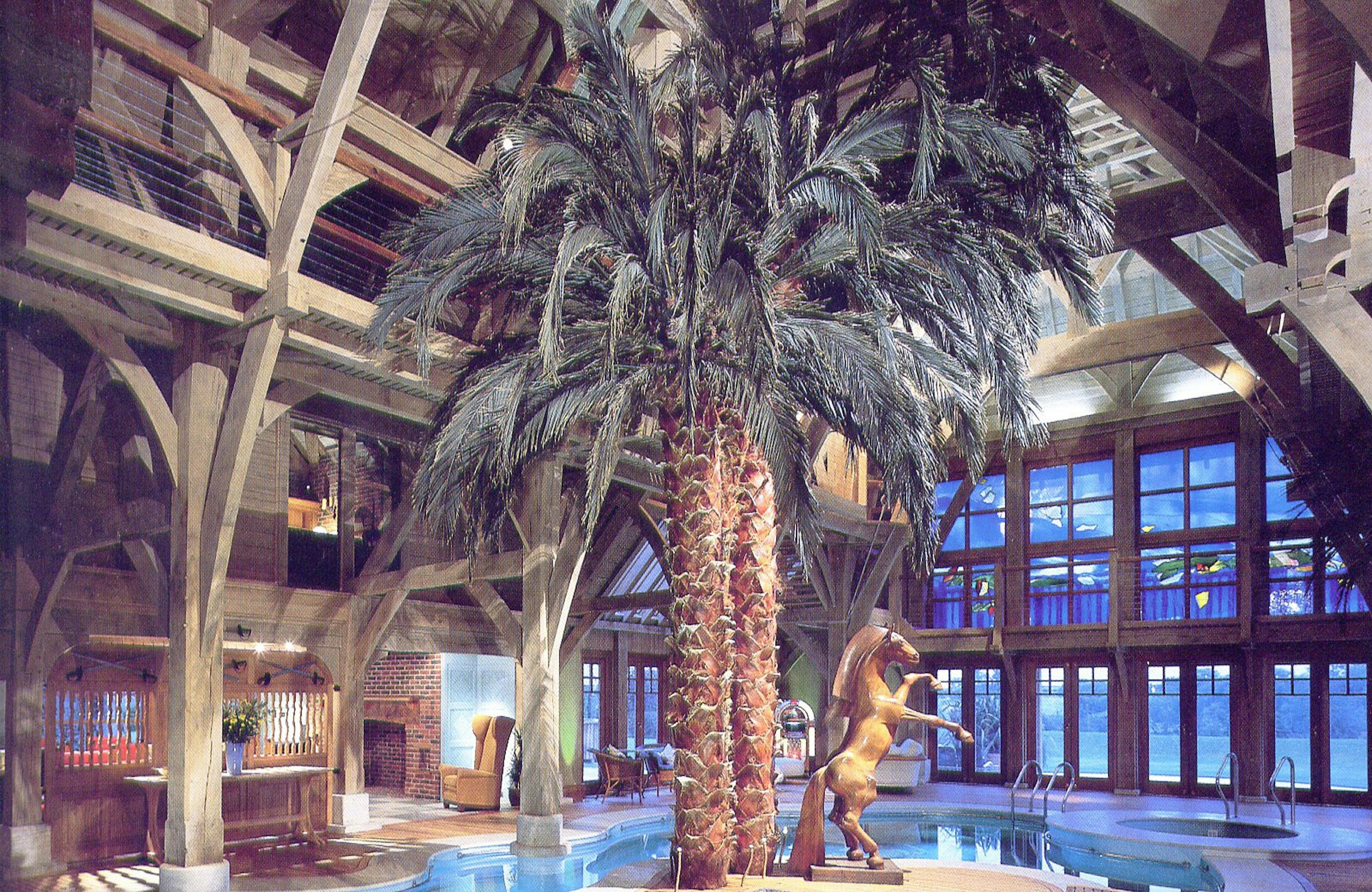 Internal view of a swimming pool surrounded by palm trees, creating a tropical and serene atmosphere