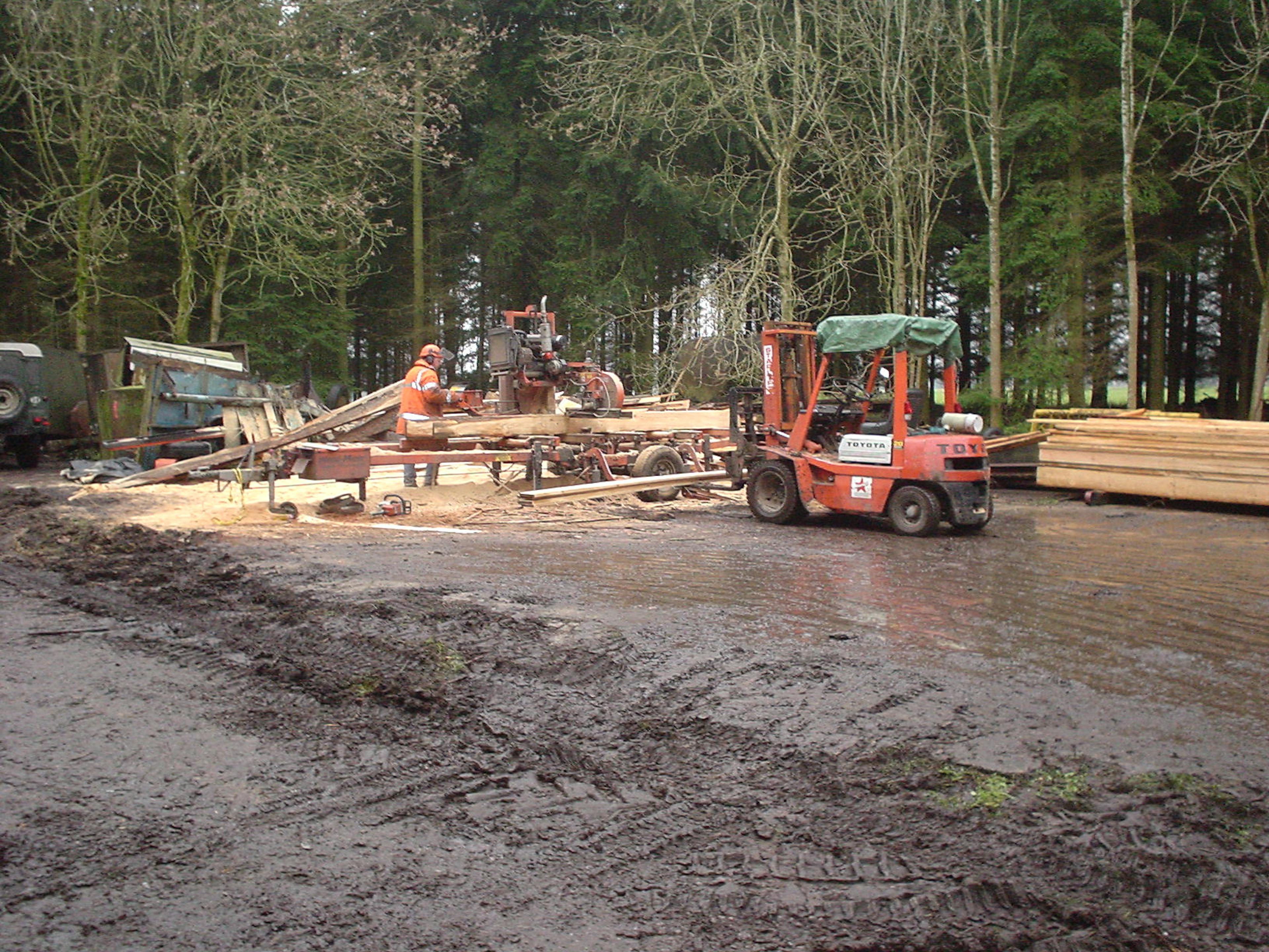 Timber being sawn in the woodland at Longleat