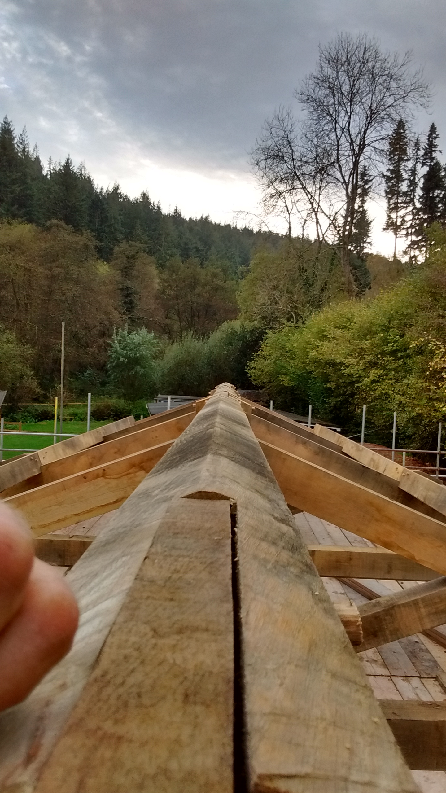 Roof ridge of the 4-bay multifunctional space at Great Wood Camp