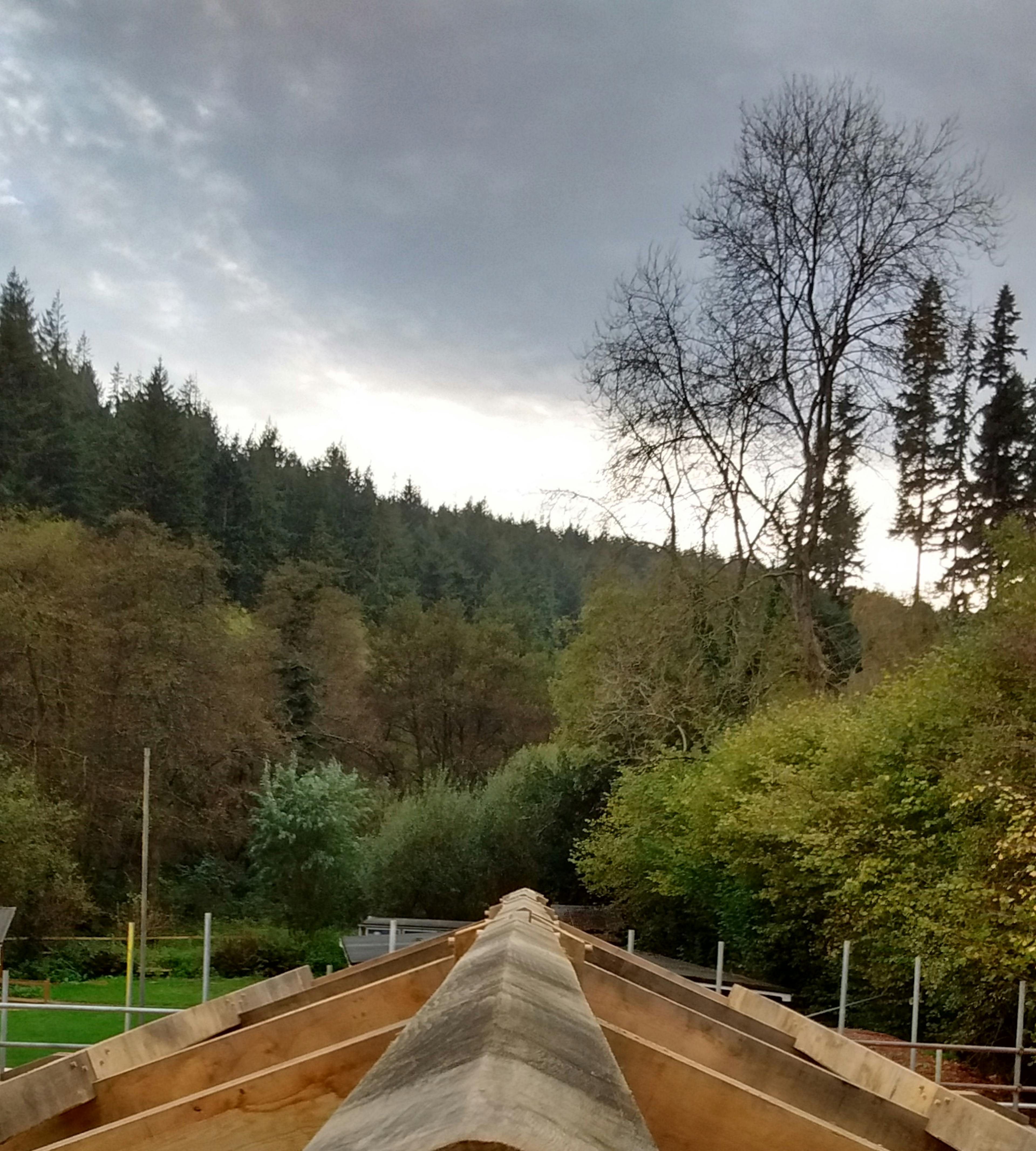 Roof ridge of the 4-bay multifunctional space at Great Wood Camp