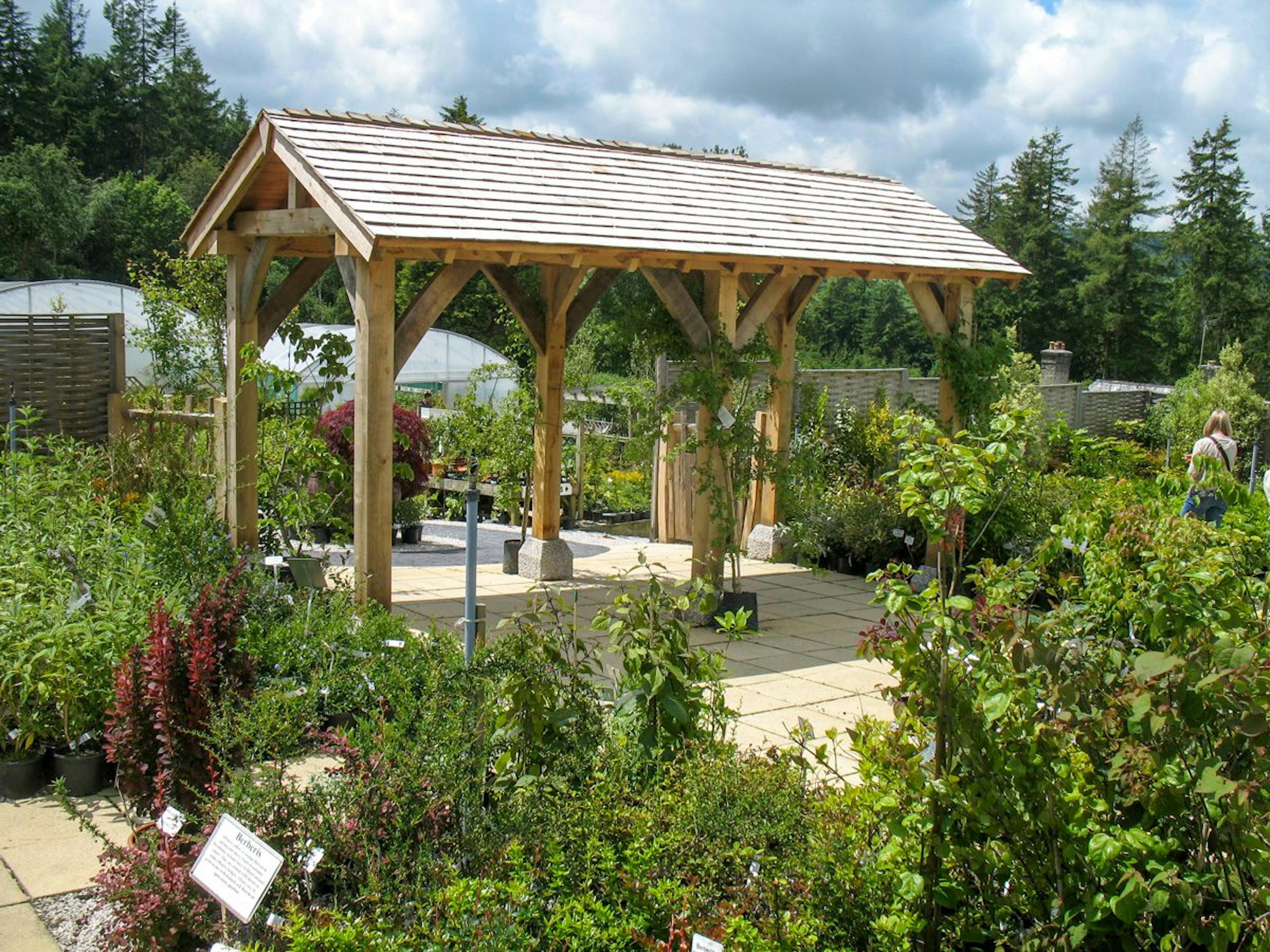 An image of an oak framed pergola at the Duchy of Cornwall garden nursery