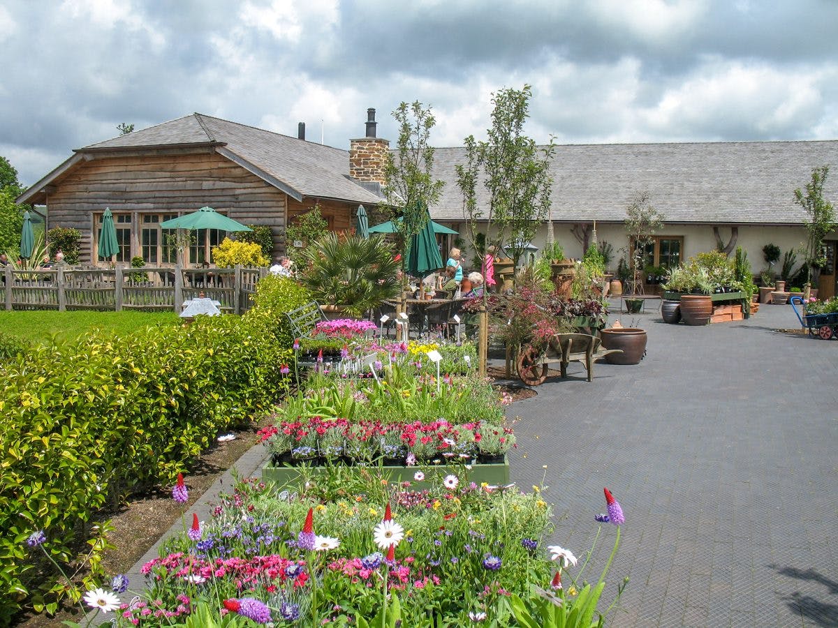An image of an oak framed building at the Duchy of Cornwall garden nursery